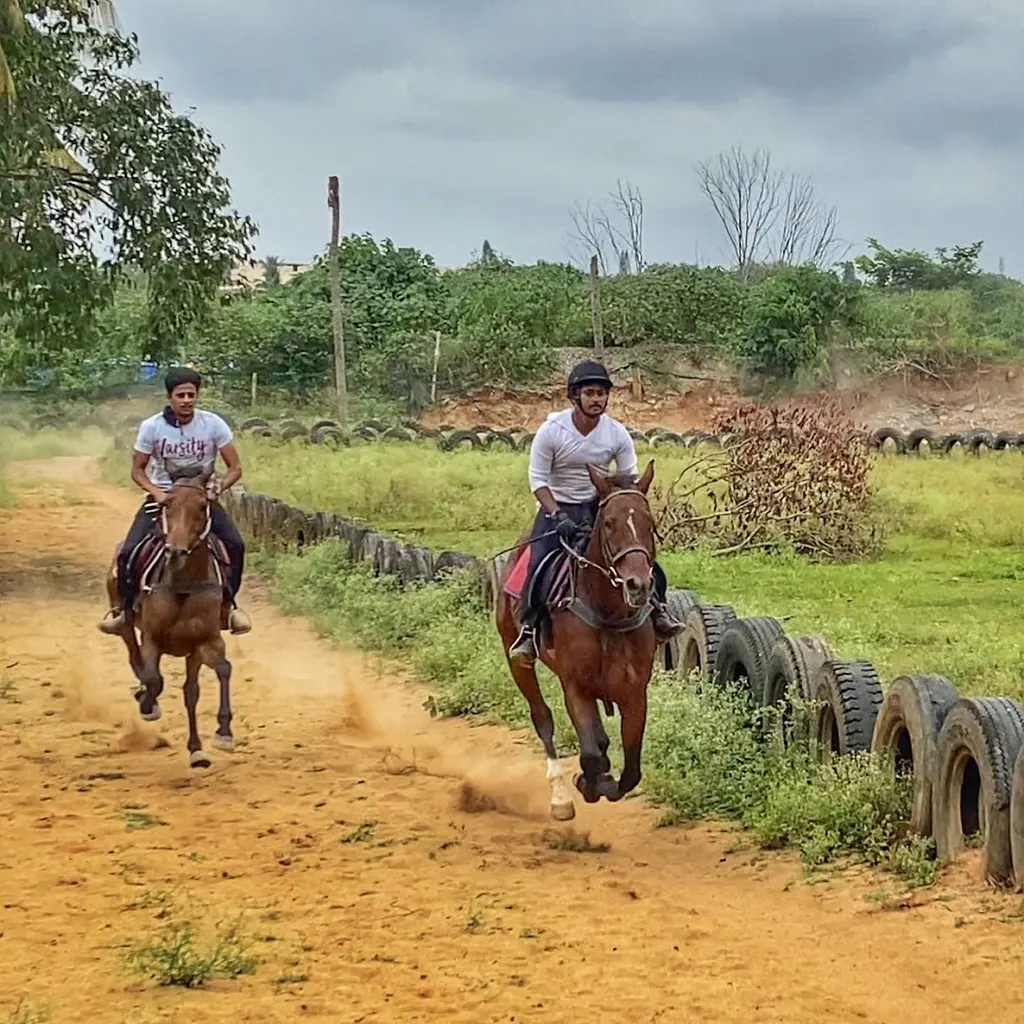 Legacy Horse Riding School — Horse Riding in Virupakshapura