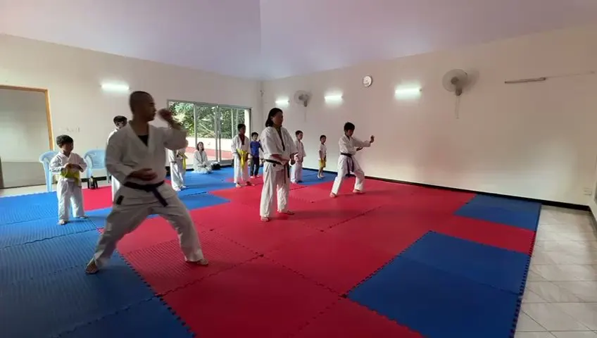 Karate - Kobudo/ Okajima Dojo / Dozen ryu, Wayagi Kai 真照動禅流空手道和八義會インド支部 — Martial Arts in Jakkuru