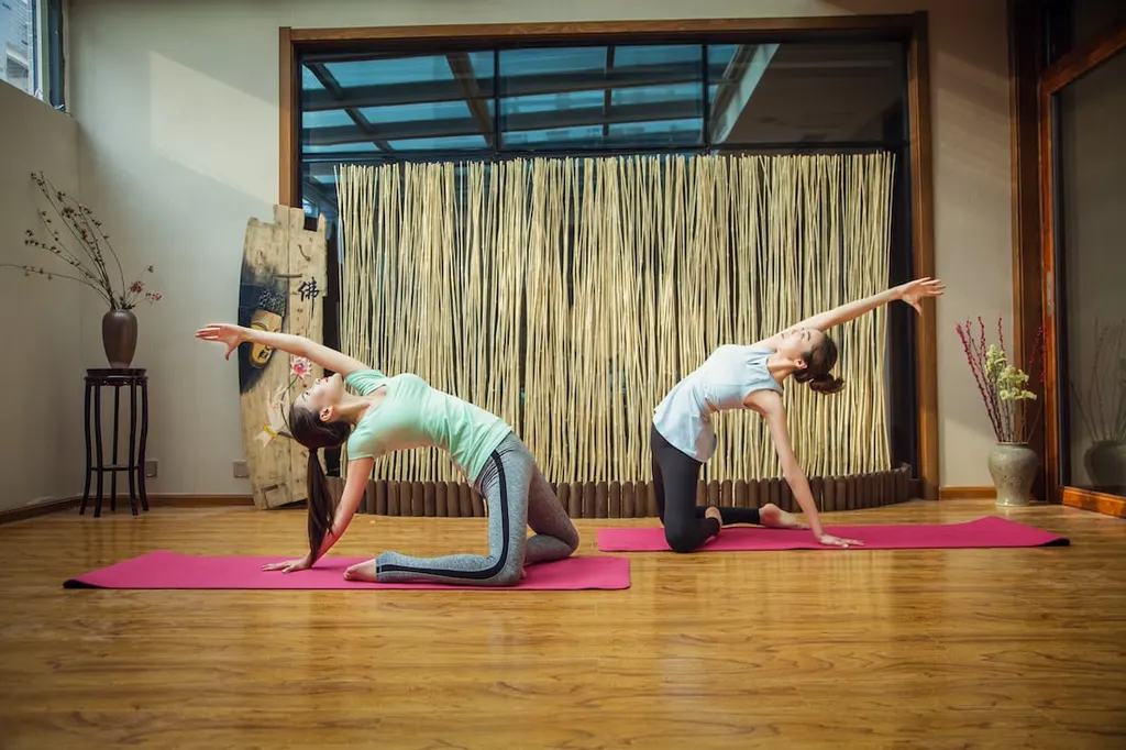 The yog house — Yoga in Sector 149