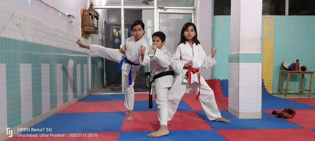 R2F Martial Art Academy — Martial Arts in Sahibabad