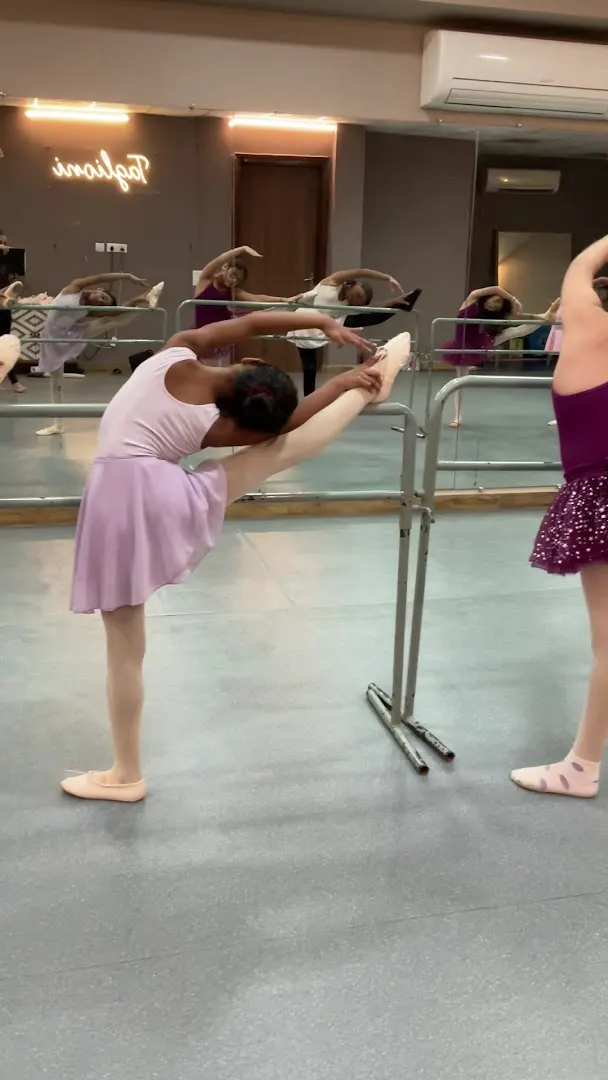 TAGLIONI SCHOOL OF PERFORMING ARTS — Dance in Sector 57