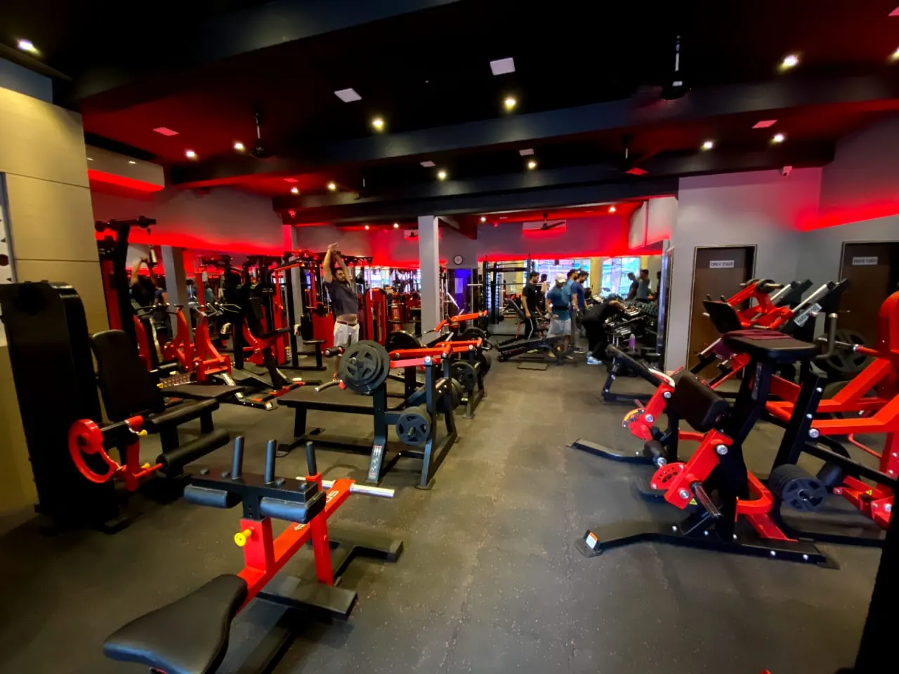 Iron Paradise Gym photo 1