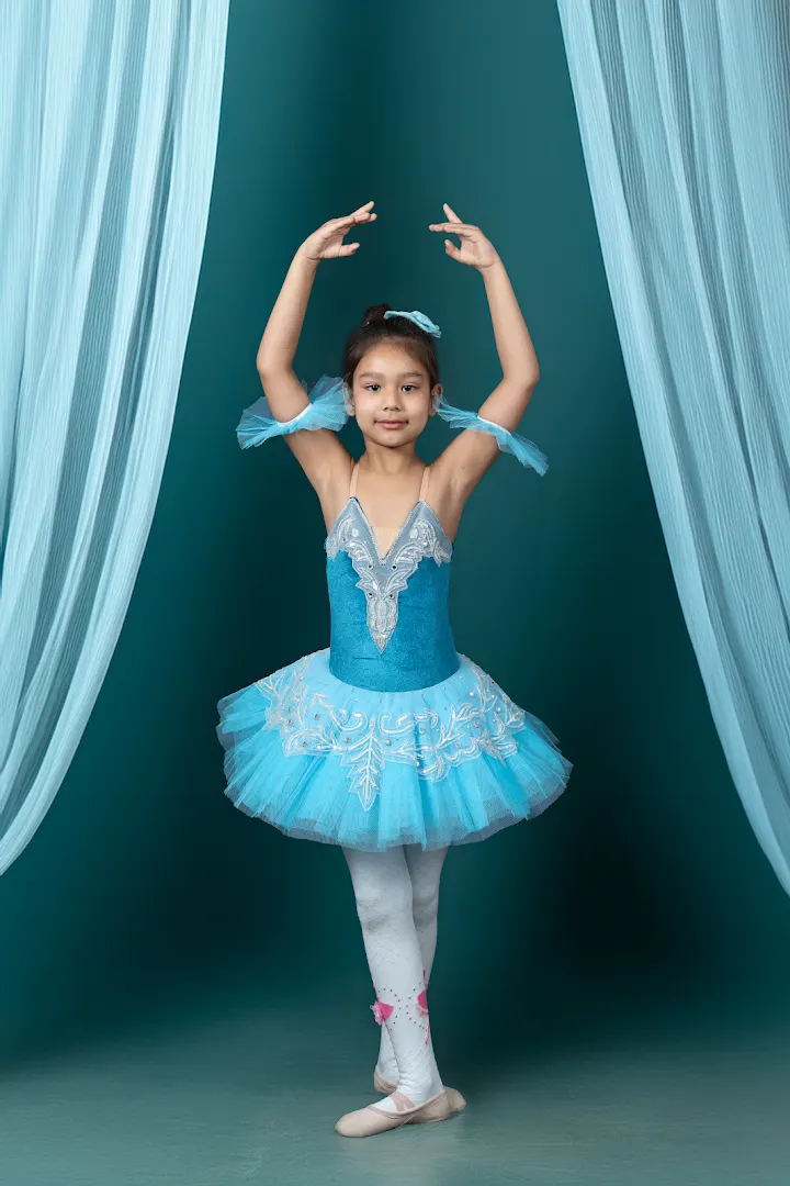 Elegance Ballet Studio — Dance in Sector 47