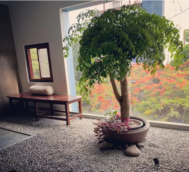 Aayana Yoga Academy- Transformative Yoga Classes — Yoga in Jayanagar