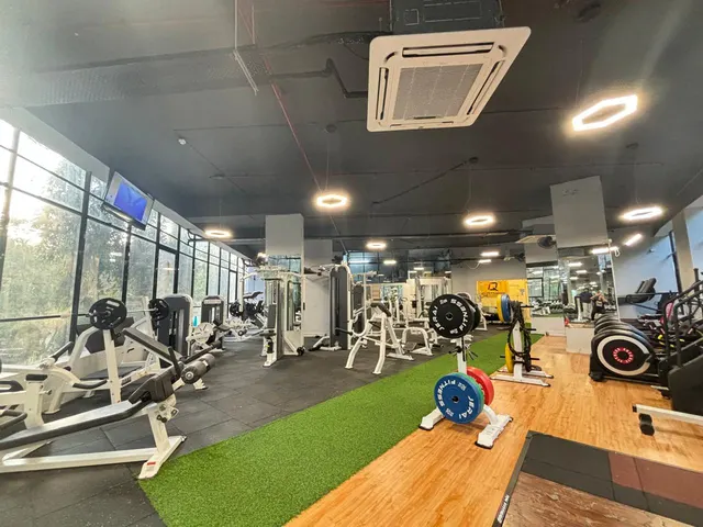 IQ Fitness — Yoga in Malad