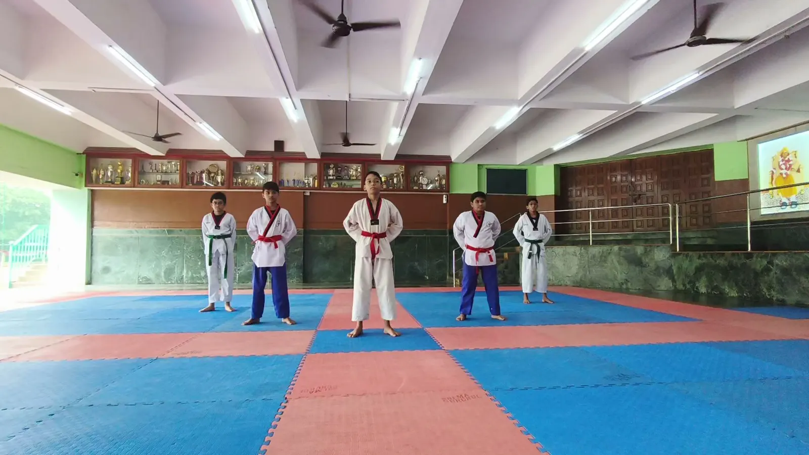 Taekwondo - Sri Ma Gurukul photo 1