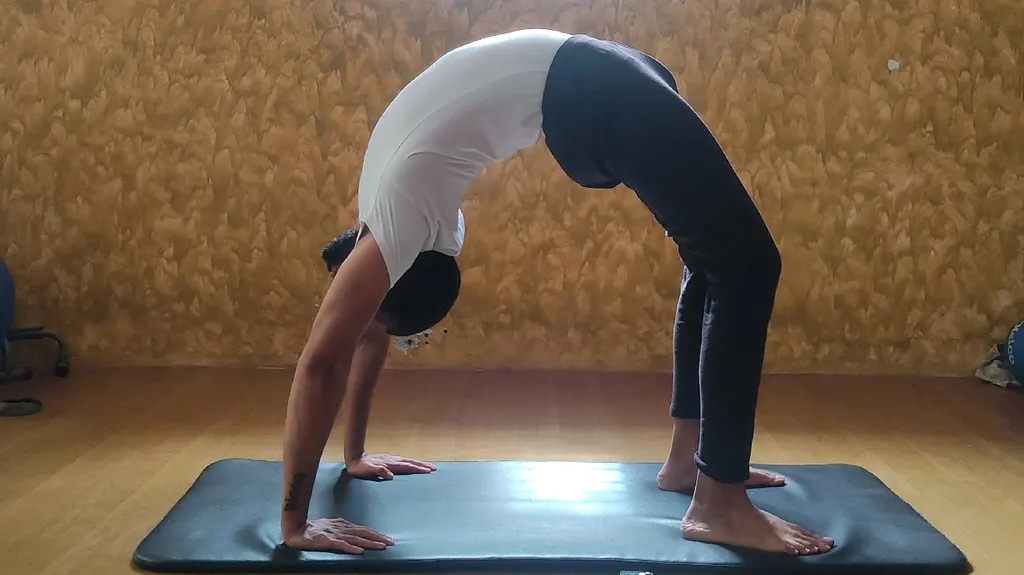 AnBoCaYo - The Fit Hub — Yoga in Mallathahalli