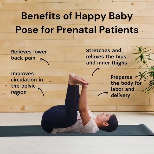 Happy Turtle Prenatal — Yoga in Sector 47