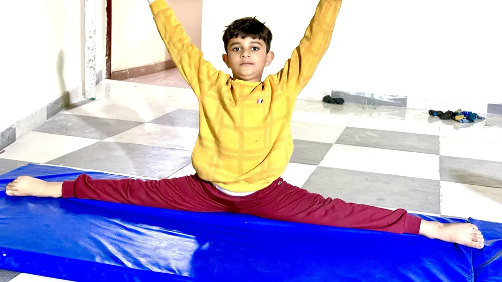 Faridabad Fitness & Gymnastics Centre.Trainer: — Gymnastics in Sector 8