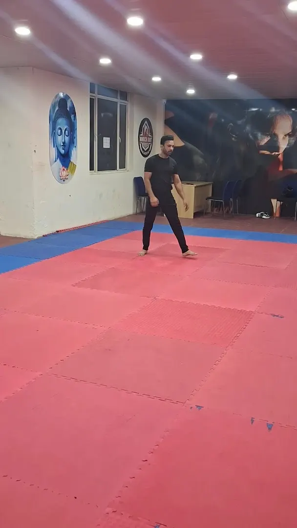 Knockout Gymnastics Classes — Martial Arts in Sector 50