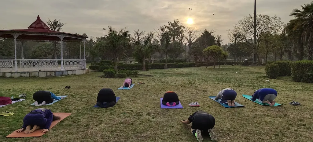 Yoga instructor mohan — Yoga in Sector 15