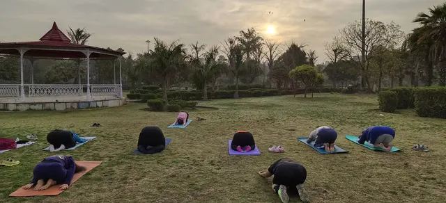 Yoga instructor mohan — Yoga in Sector 15