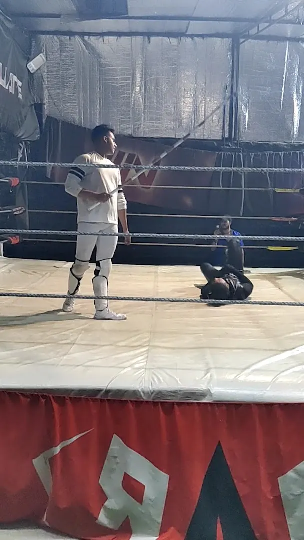 Wrestle Square — Wrestling in Sector 51