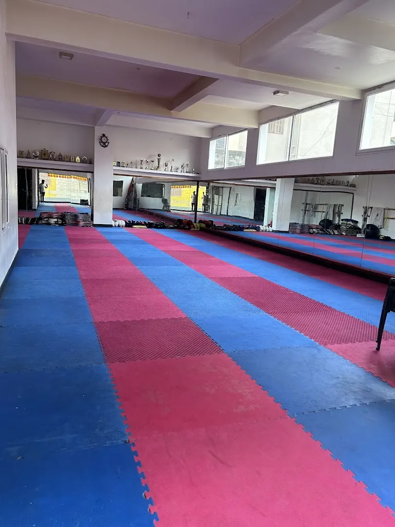 S.K. Taekwondo Academy — Martial Arts in Yeswanthpur