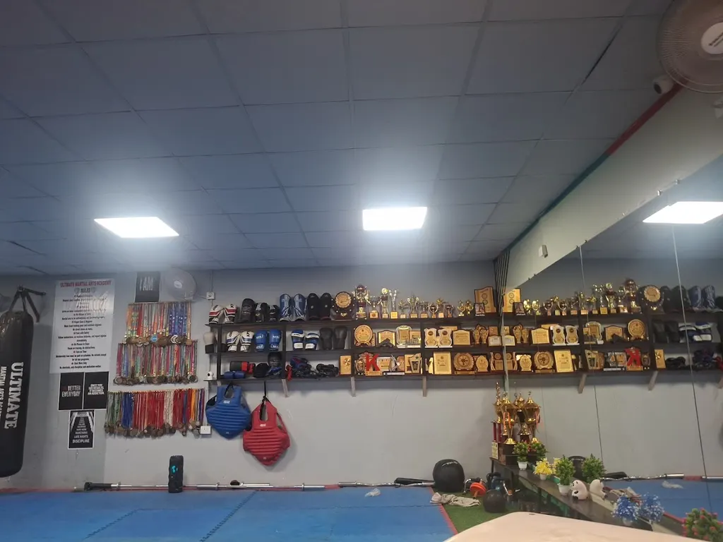 Ultimate martial arts academy of India — Martial Arts in Sector-45