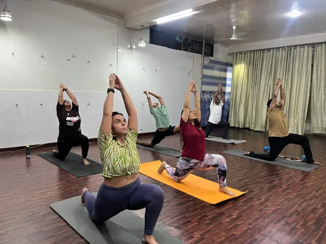 The Panda Yoga studio/All yoga services — Yoga in Sector 14