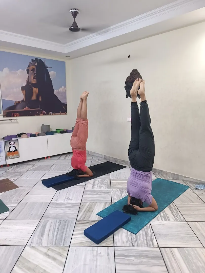 ArogBharat YOGA (Slimming, Therapy, Healing) — Yoga in Sector 25