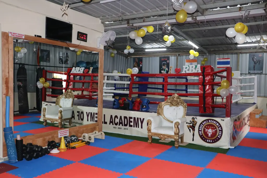 The Rock Bull Academy Of Arts — Martial Arts in Rajarajeshwari Nagar