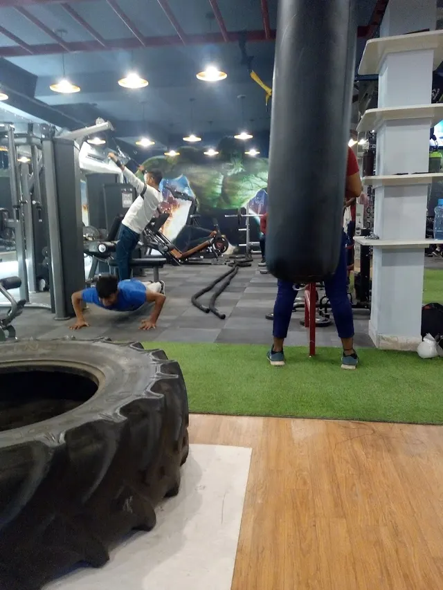 Lion Fitness Studio