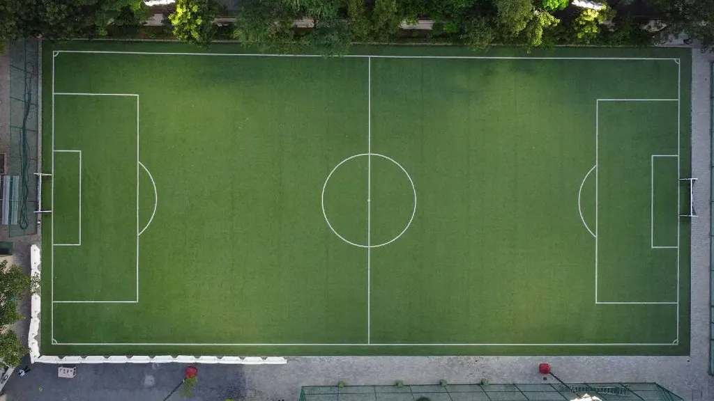 Conscient Sports Vasant Kunj — Football in Vasant Kunj