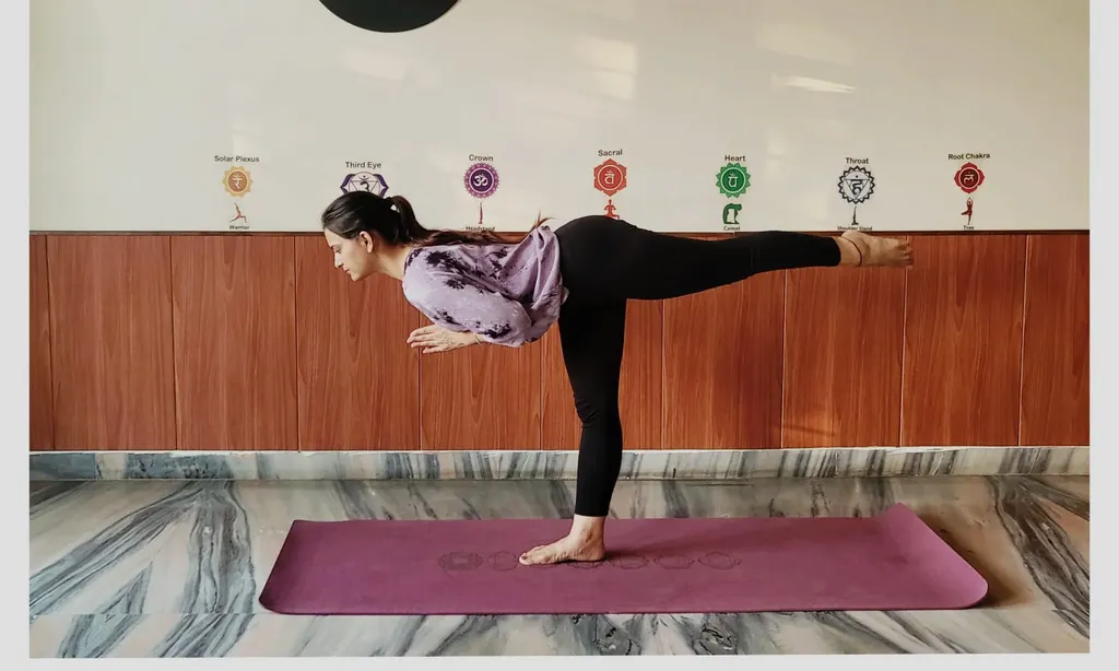 Shreyas Yoga Classes & Wellness Therapy — Yoga in Civil Lines