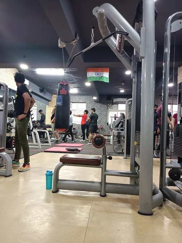 Torso Fitness
