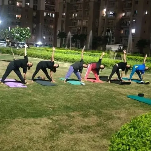 Nav Yog Center — Yoga in Sector 137