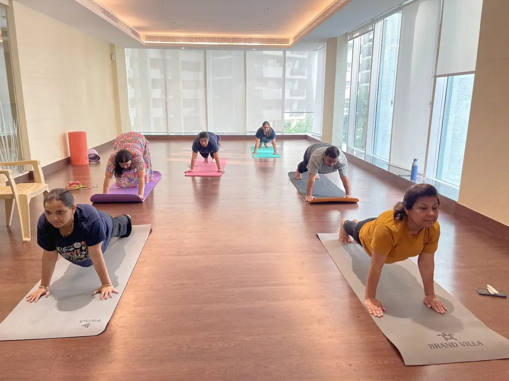 Paranaflow Yoga — Yoga in Sector 36