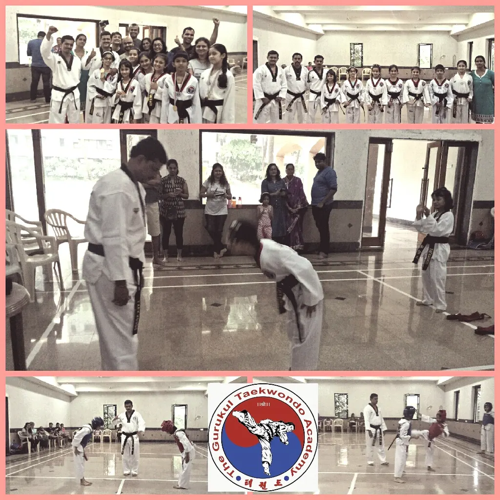 The Gurukul Taekwondo Academy — Martial Arts in Andheri East