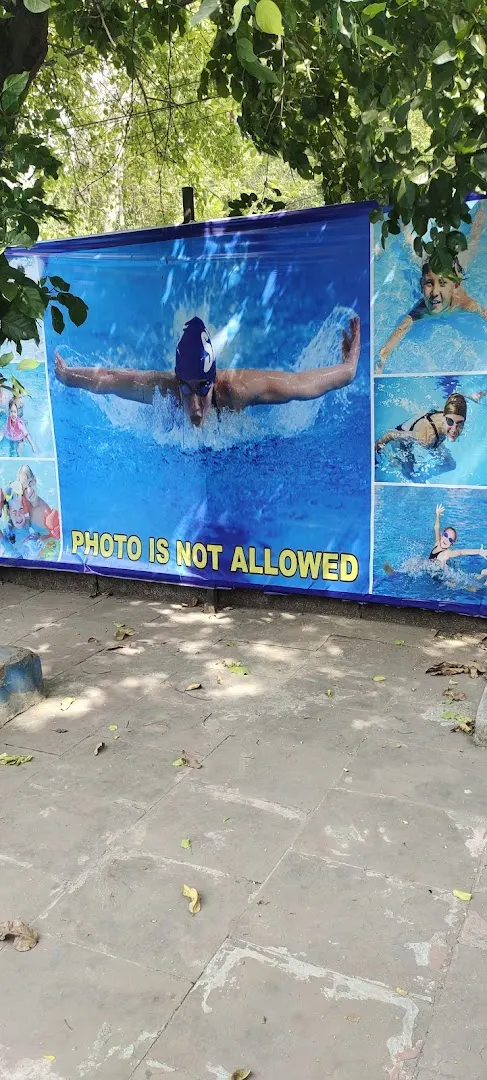 NDMC Swimming Pool — Swimming in Shalimar Bagh, Delhi