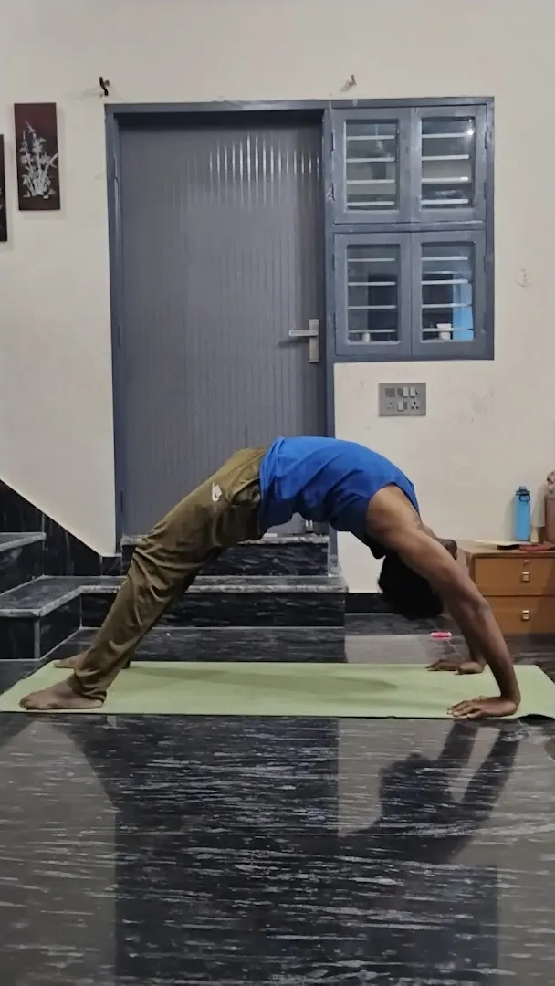 Om Yoga — Yoga in Sector 93