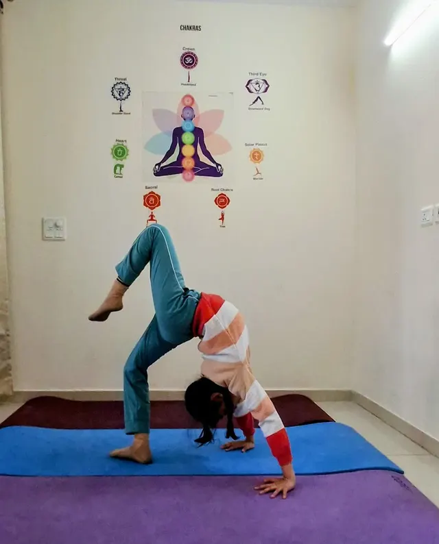 Fit N Firm Yoga Classes and Yoga Therapy — Yoga in Sector 77