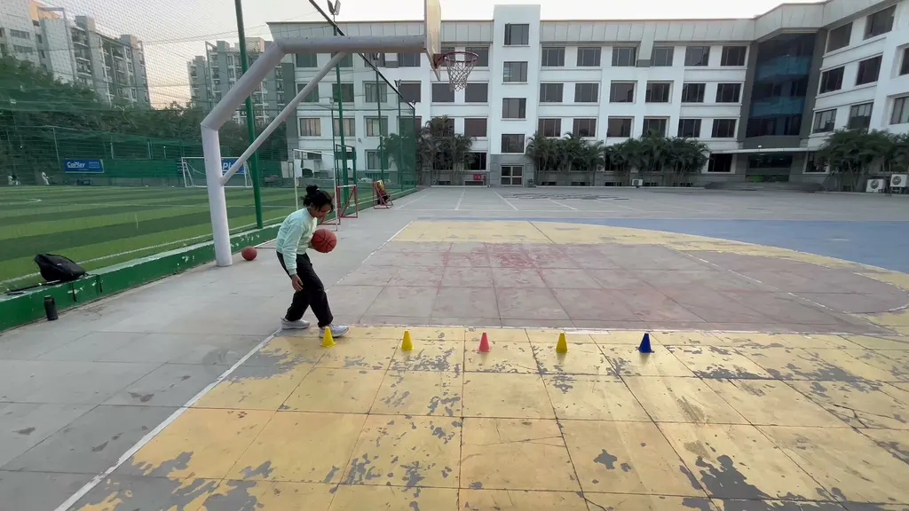 Tiger basketball academy — Basketball in Sector 93B