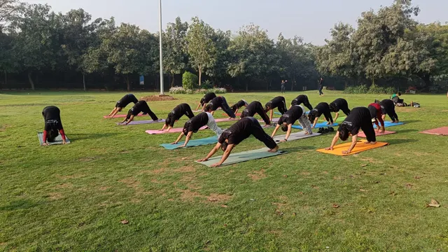 Bliss Yoga Classes — Yoga in Sector 12