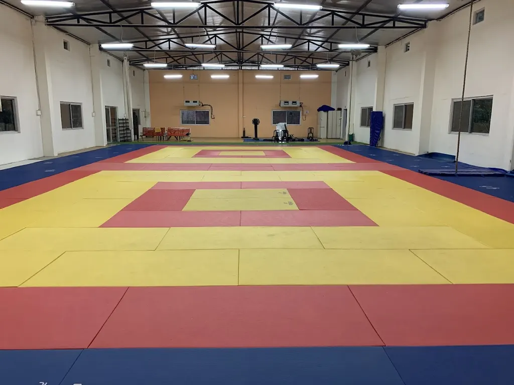Academy Of Fitness & Combat Sports {Afacs} — Martial Arts in Dwarka