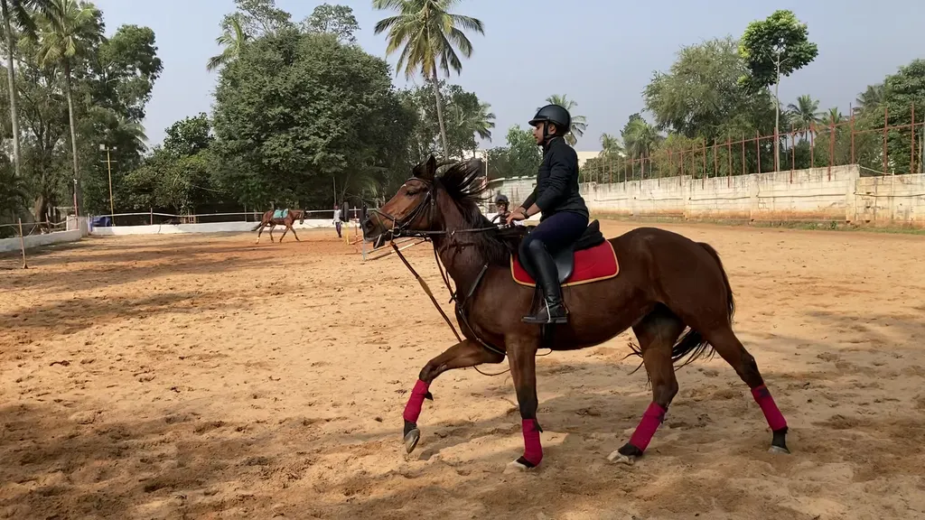 Royal Equestrian Academy — Horse Riding in Chikkabellandur