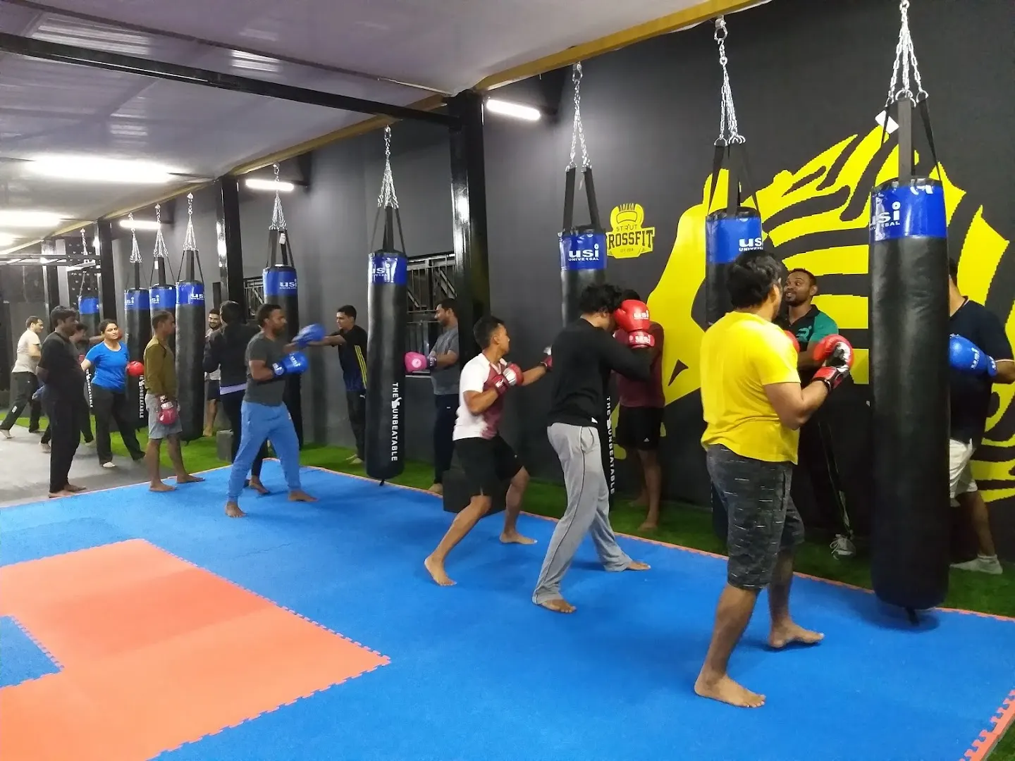 Strut Fitness | Best Gym in Vignan Nagar — CrossFit & Functional Training in Kaggadasapura, Bengaluru