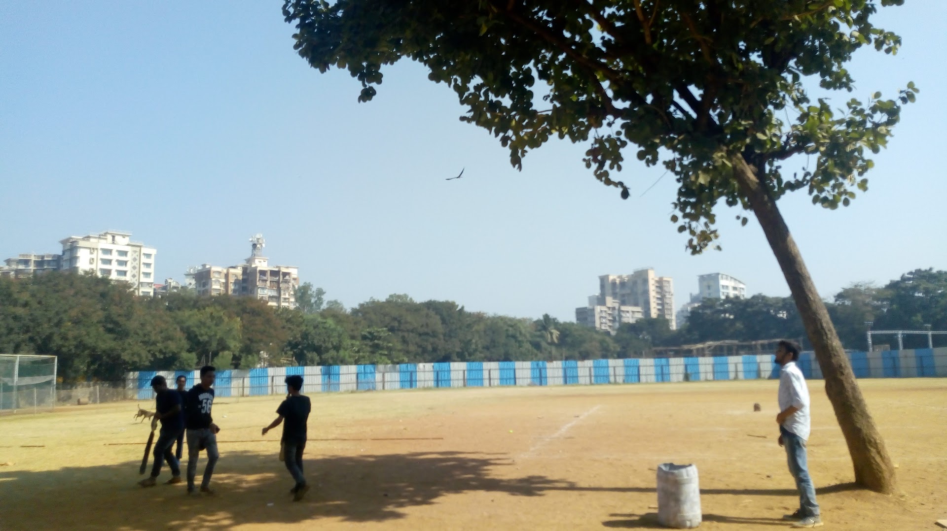 Somaiya Cricket Ground Vidyavihar