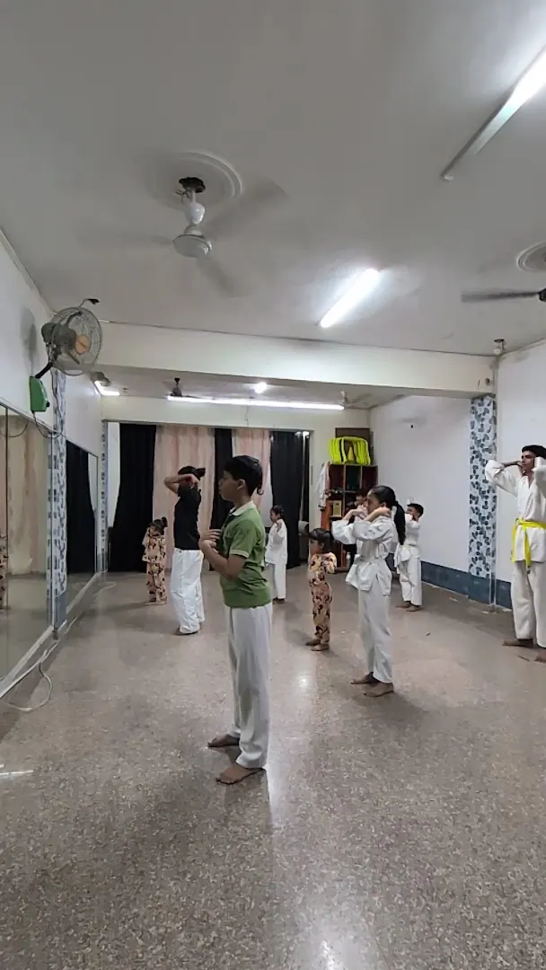 Shadow Martial arts Academy — Martial Arts in Sector 10A