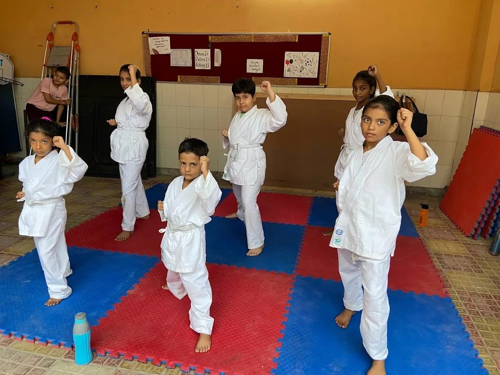 Bharat Martial Arts Academy — Martial Arts in Sector 48