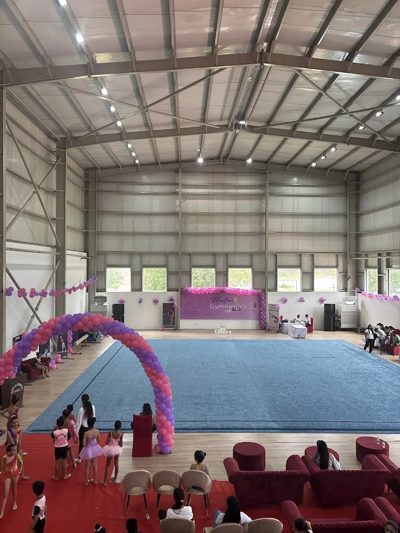 Manthan Gymnastics Academy, Guruji ka Ashram initiative — Gymnastics in Asola