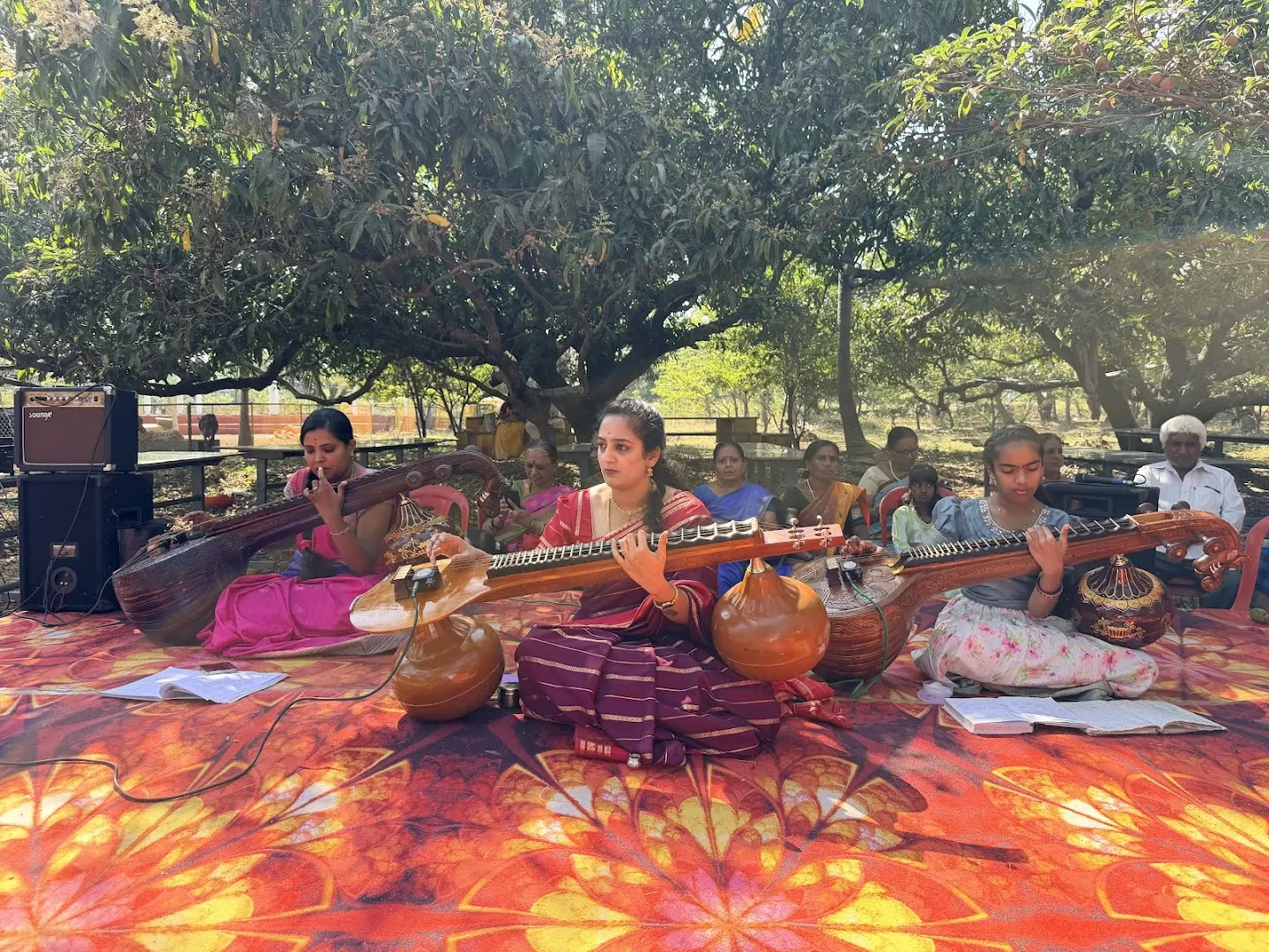 Saptaswara Veena Academy photo 1