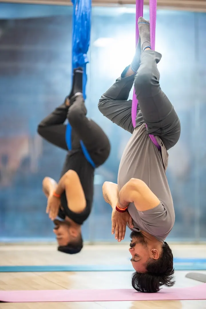 Pradipika Institute of Yoga and Therapy — Yoga in Rajajinagar