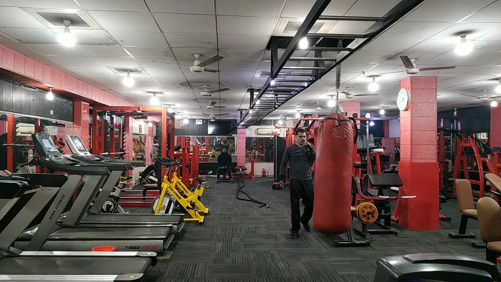 the bulls gym — Standard Gym in Sector 41
