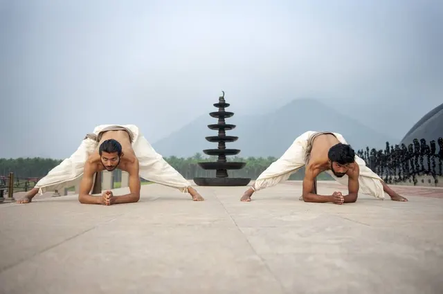 nisarga hatha yoga — Yoga in Sector 45