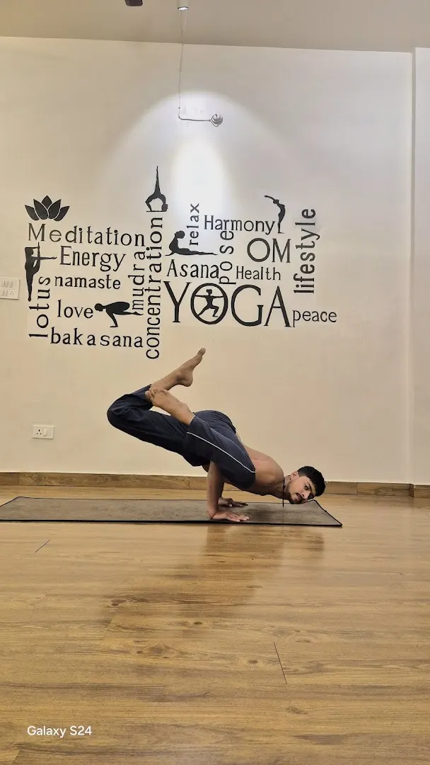 Ekagra Yoga & Wellness Studio — Yoga in Sector 45