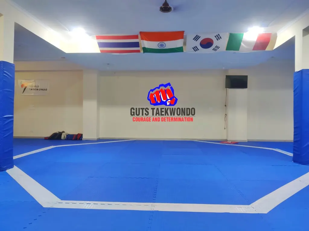 Guts Taekwondo — Martial Arts in Sector 55