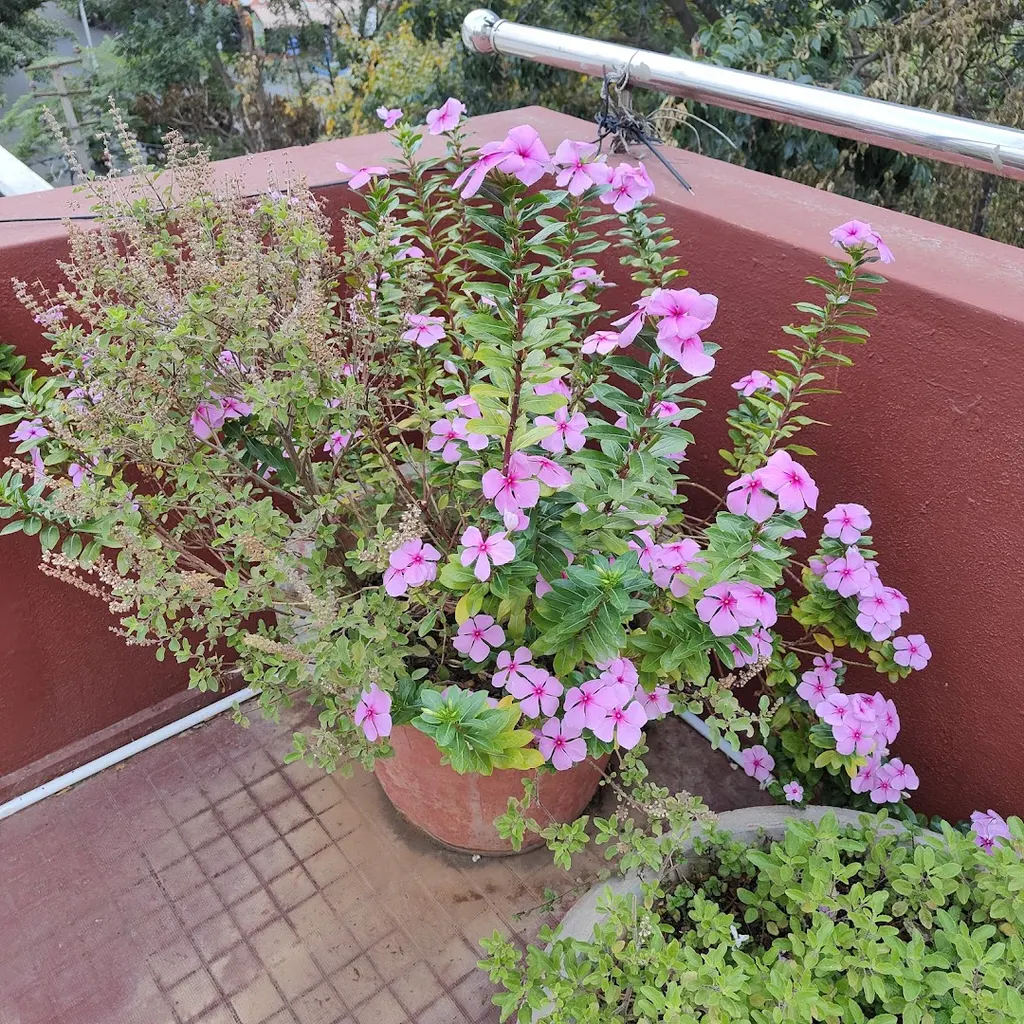 Art of Living Yoga & Meditation Center JP Nagar — Yoga in JP Nagar