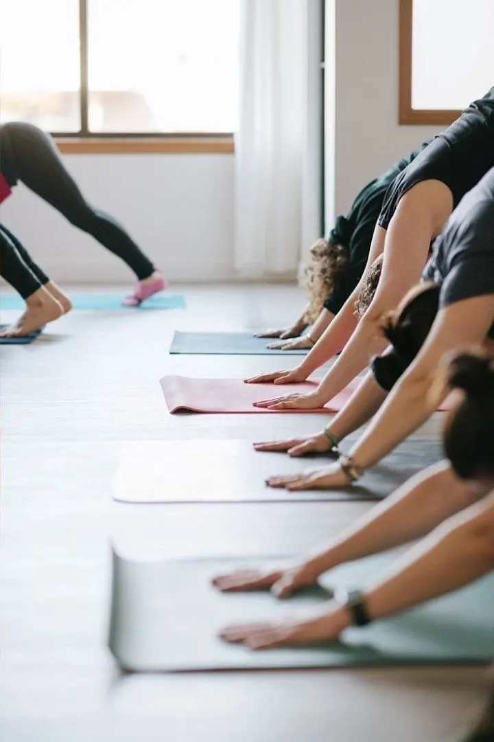200 hour Yoga teacher training — Yoga in Sector 82