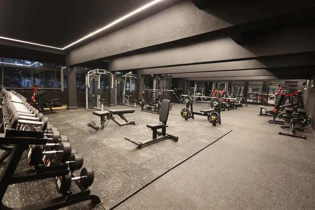 THE GYM CULTURE - Gym in Goregoan | Gym in Mumbai | Celebrity Gym | Fitness Center | Cardio | Gym | Personal Trainer — Yoga in Malad West